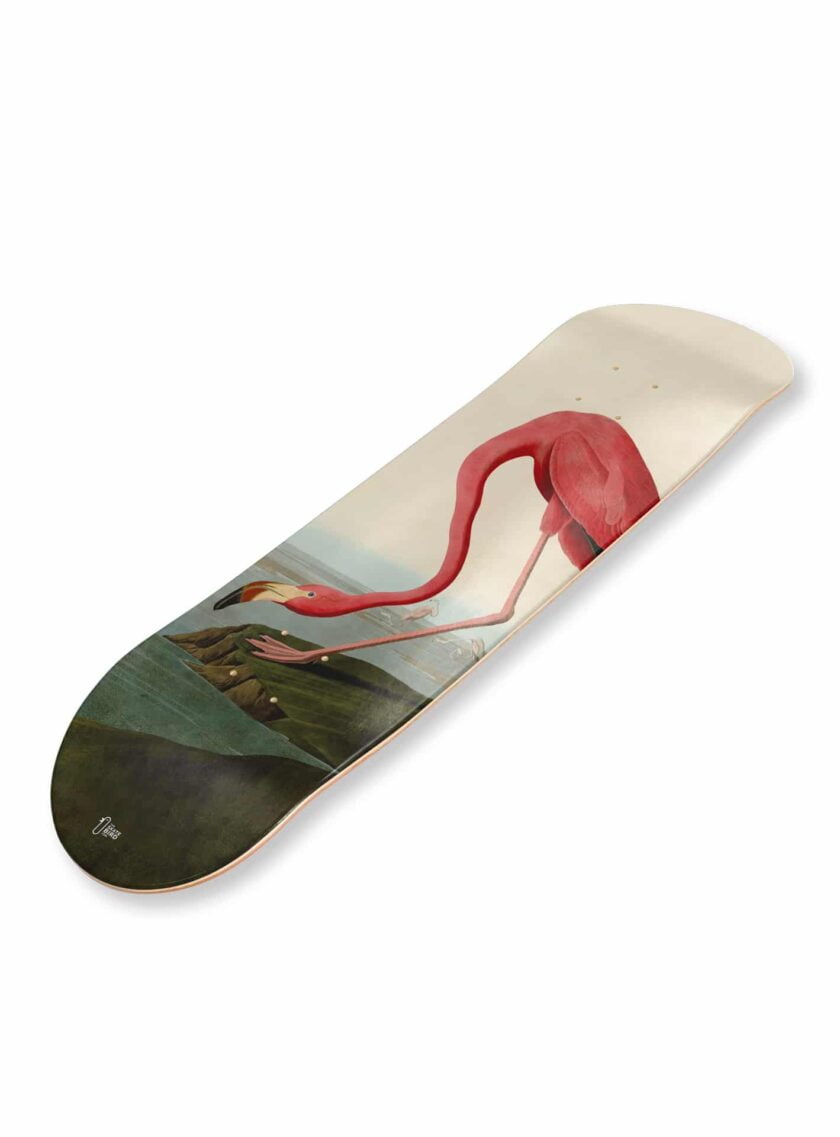 Planche de skateboard / skate art "Flamingo" représentant une gravure ancienne de flamant rose