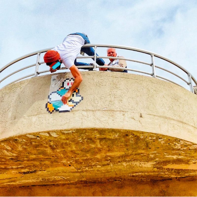 IN THE WOUP | Street Artiste | The Skate Bird